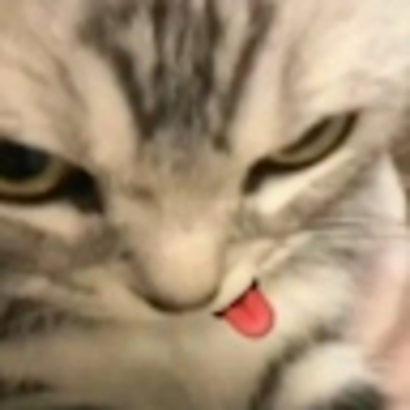 Meet your Posher, Edward - Picture 1 of 1